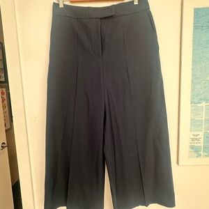 Club Monaco Dark Blue Wide-Leg Culotte Pants